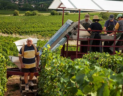 Domaine du Four Bassot -