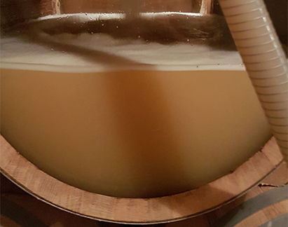 Domaine du Four Bassot -